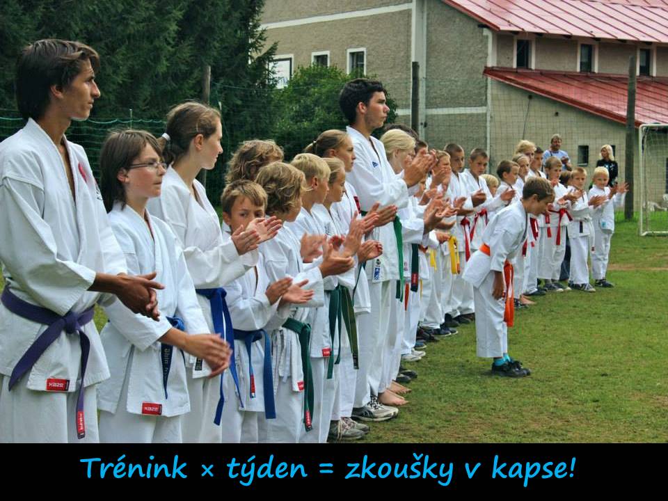 Soustředění aktivity